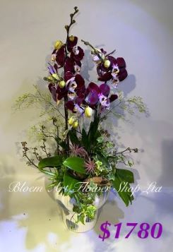 Table arrangement - Deluxe CODE 62895